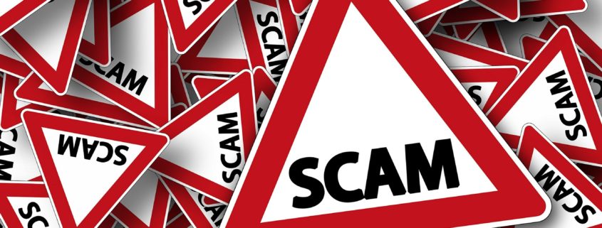 red and white warning signs with the word Scam