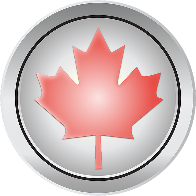 Round silver button with red maple leaf
